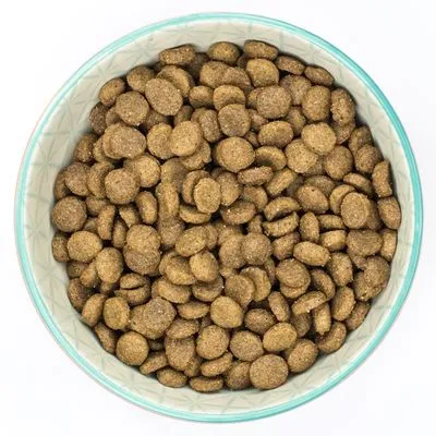 Burns Toy & Small Breed Original | Holistic Gluten Free Dry Dog Food | Senior   | Chicken & Brown Rice