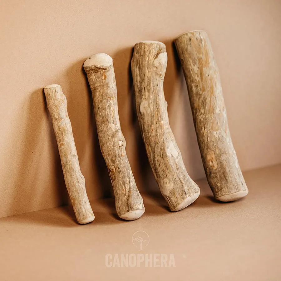 Coffee Wood Chew Sticks from Canophera