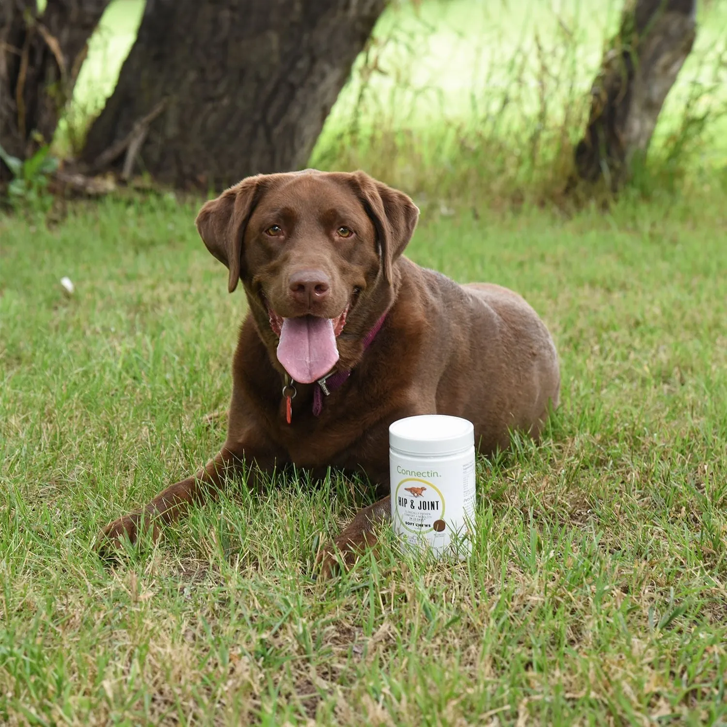 Connectin Hip & Joint Soft Chews for Large Dogs