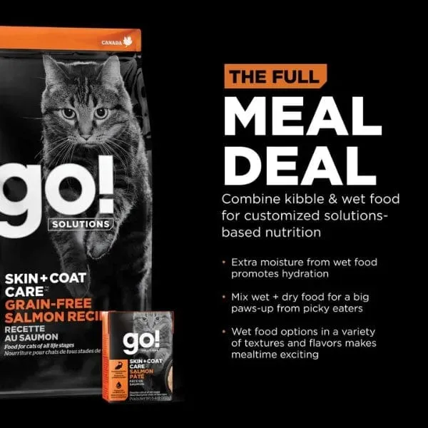 Go! Solutions Skin & Coat Care Grain-Free Salmon Recipe Dry Cat Food