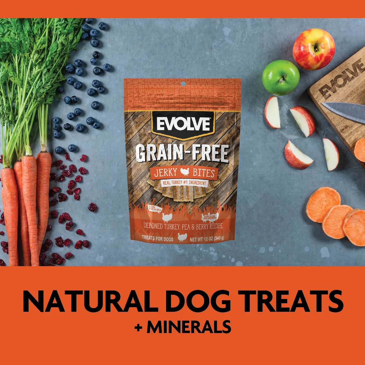 Grain Free Turkey, Pea, & Berry Jerky Bites | 12 oz | Evolve