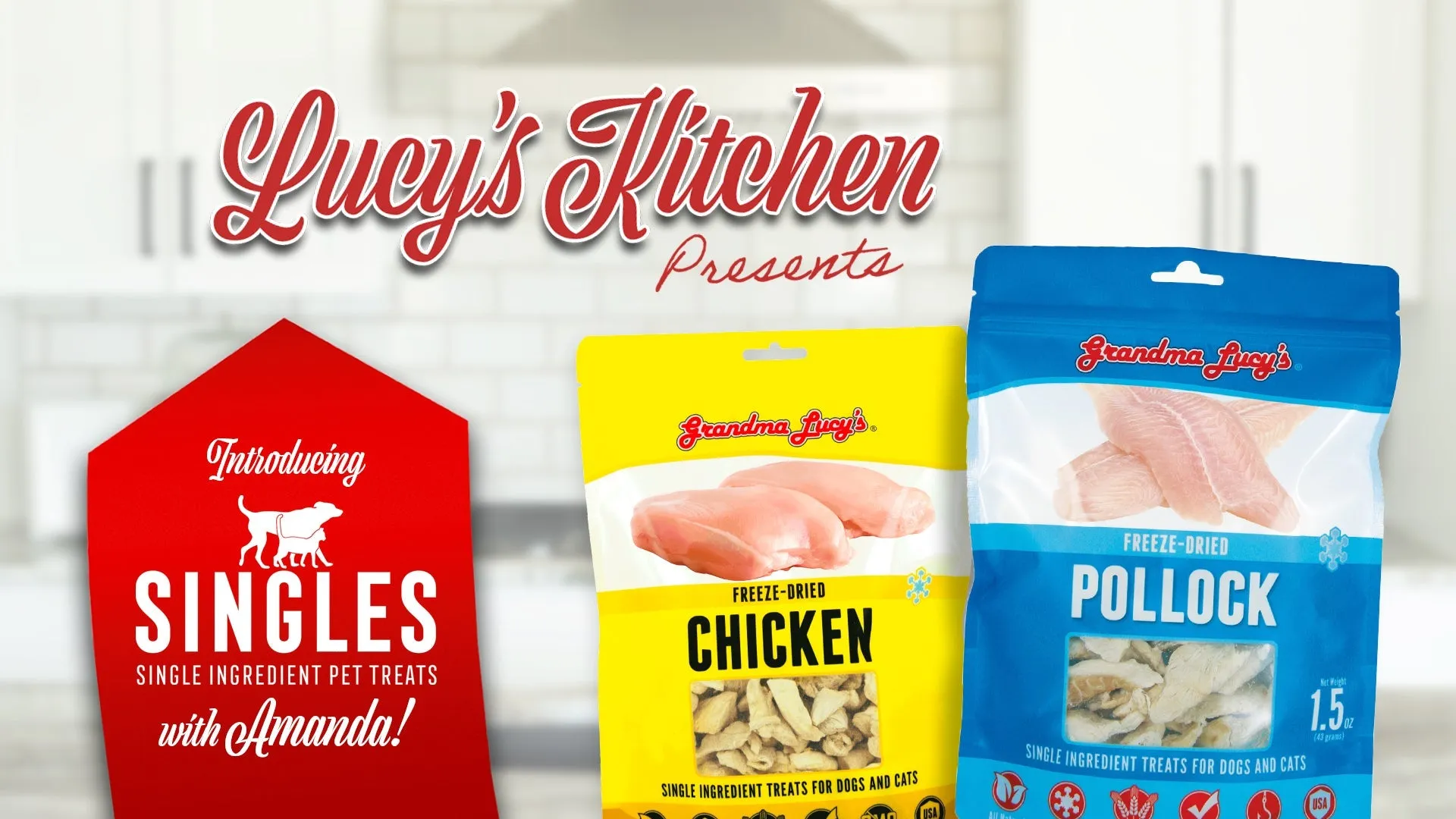 Grandma Lucy's Singles Chicken Freeze-Dried Dog Treats