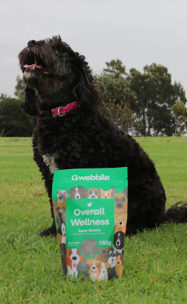 Gwebble Dog Treats Overall Wellness Super Greens 140g