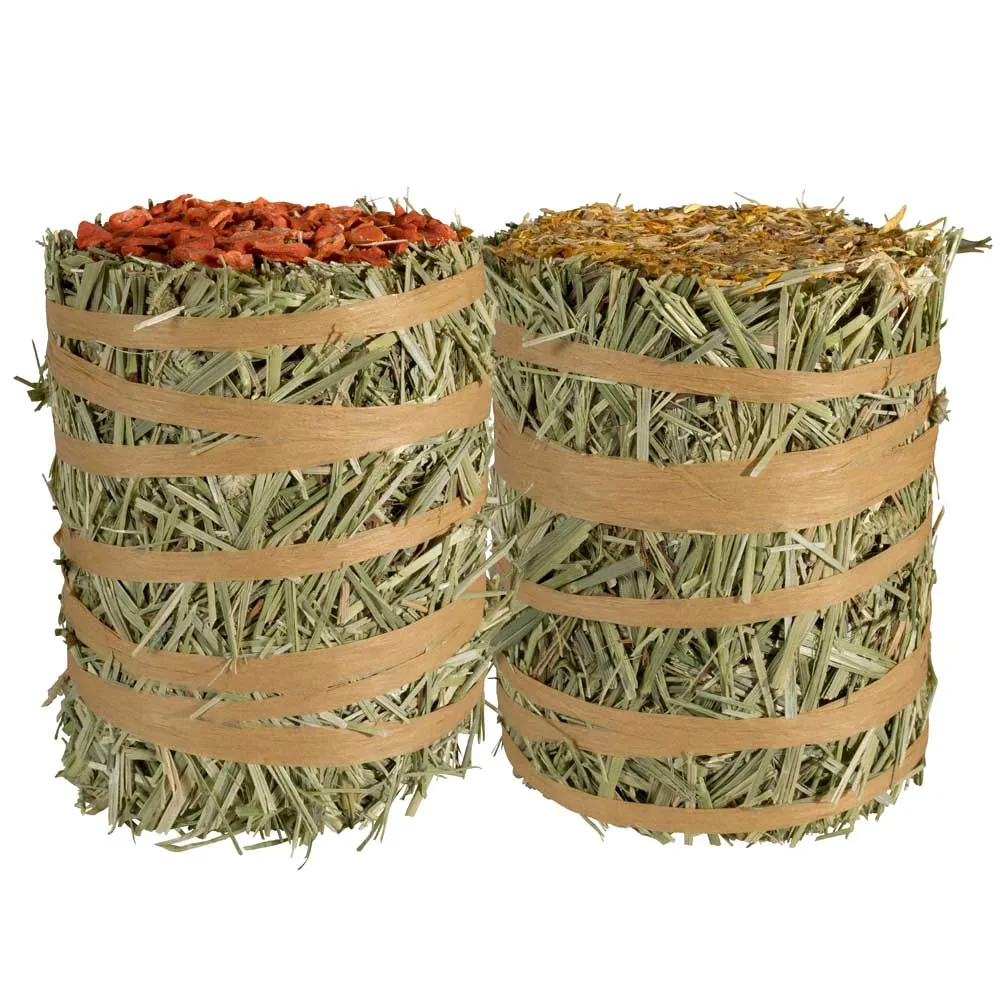 Kaytee Field Forest Mini Hay Bale Carrot & Marigold (7 oz / 2 Pack)