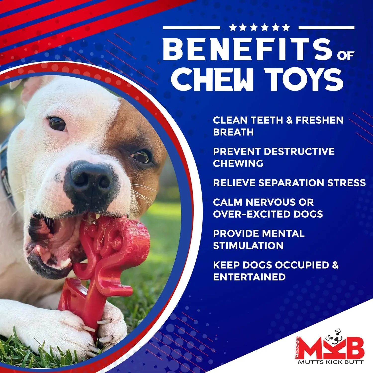 MKB Key to My Hear Ultra Durable Nylon Chew Toy