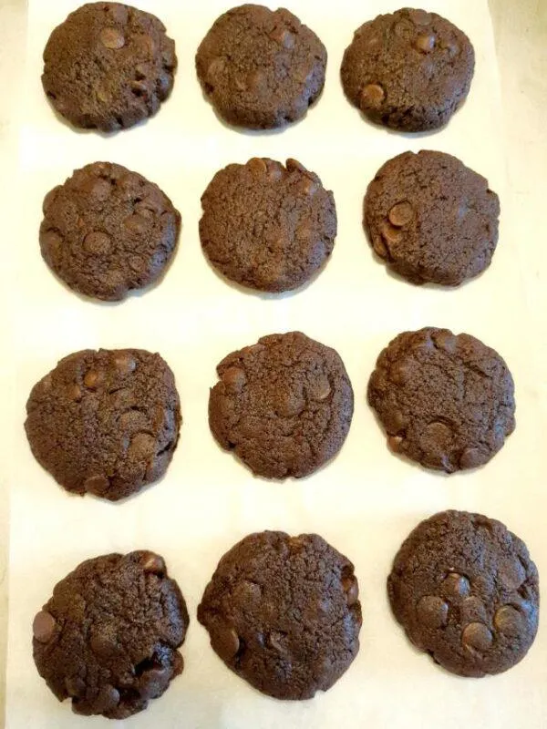 Mommy Treats Prenatal/Lactation Cookies: Double Dark Chocolate Chip