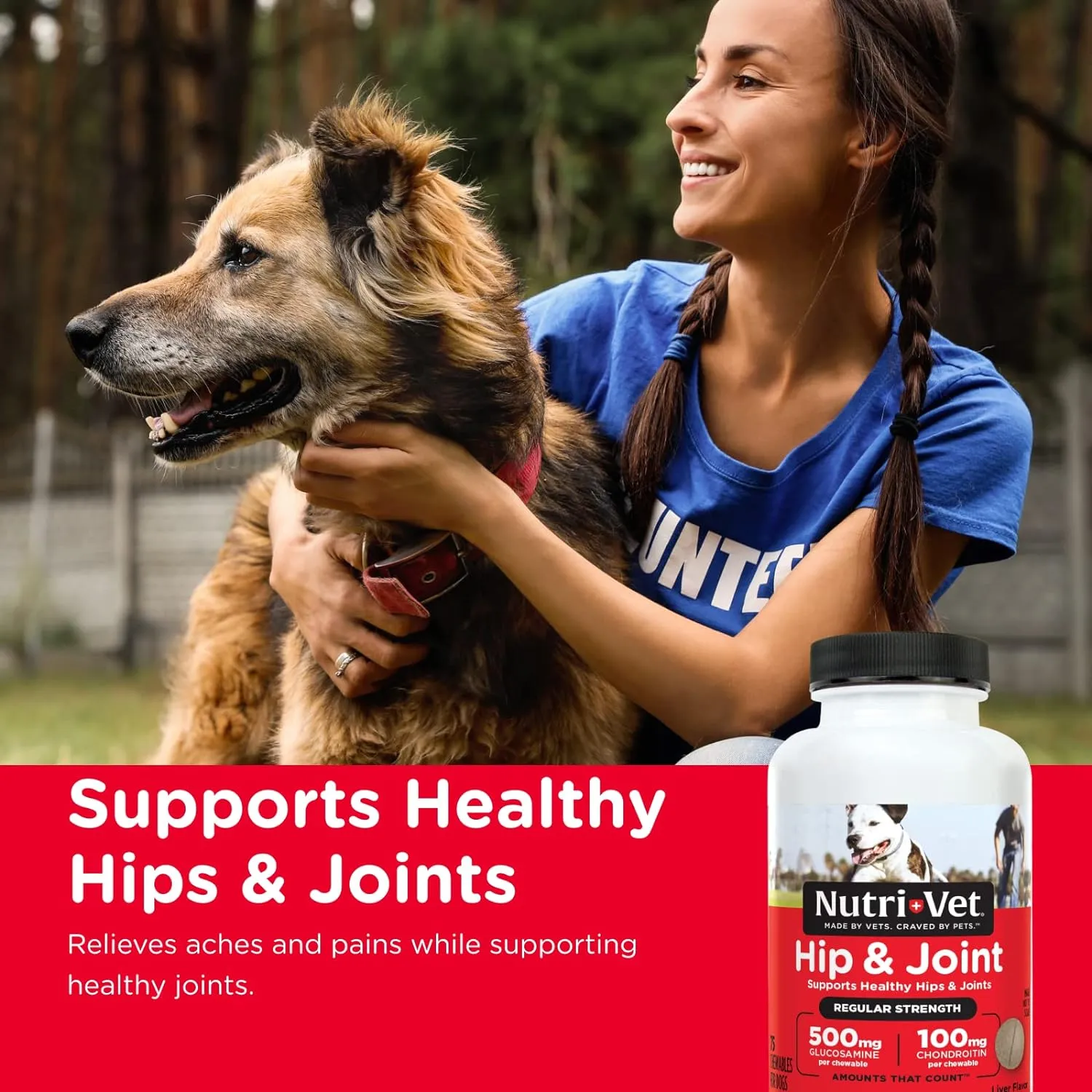 Nutri-Vet Hip & Joint Regular Strength Chewables for Dogs