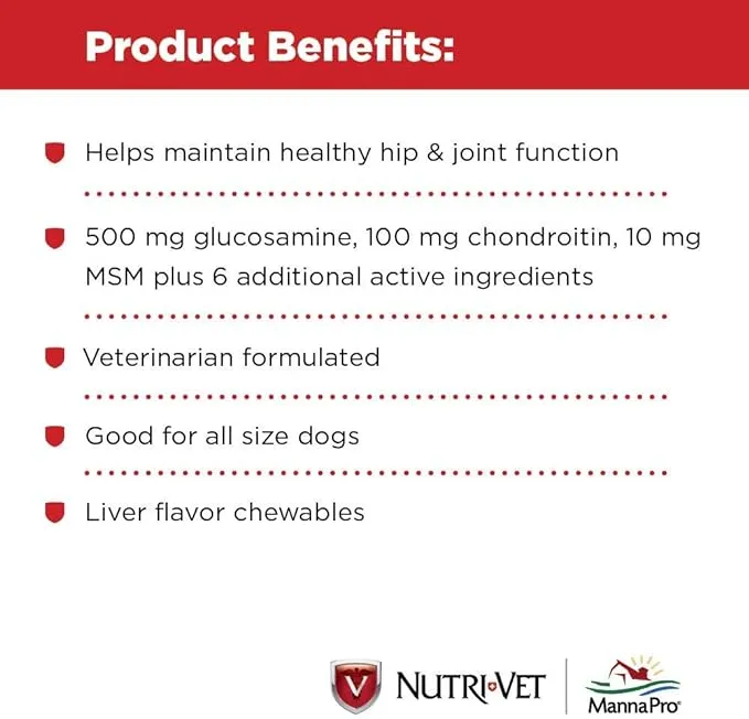 Nutri-Vet Hip & Joint Regular Strength Chewables for Dogs