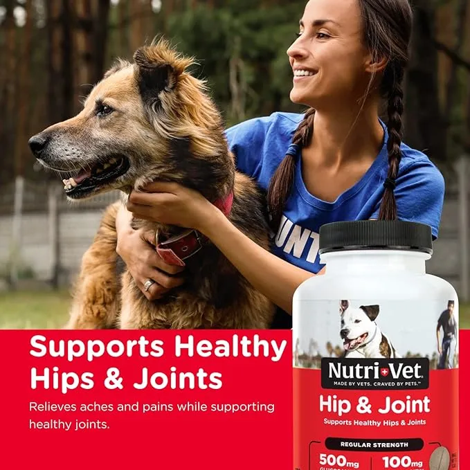 Nutri-Vet Hip & Joint Regular Strength Chewables for Dogs