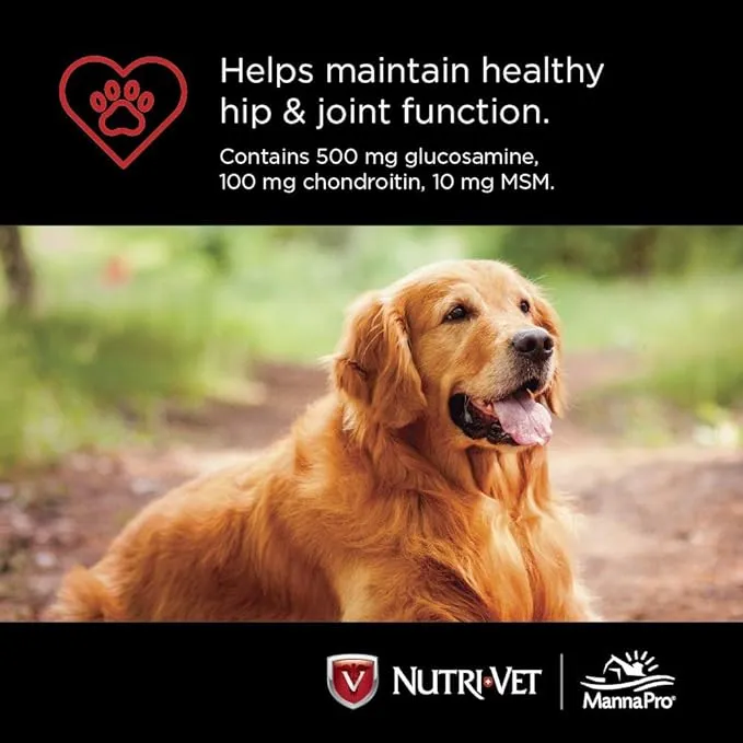 Nutri-Vet Hip & Joint Regular Strength Chewables for Dogs