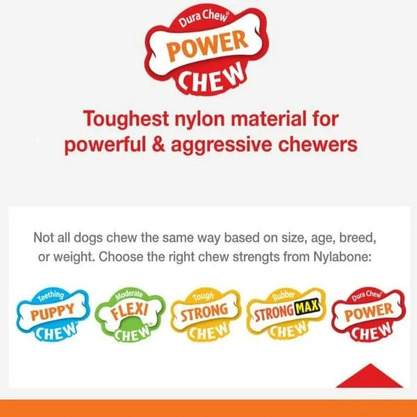 Nylabone Power Chew Bacon & Chicken Durable Dog Chew Toy Pack