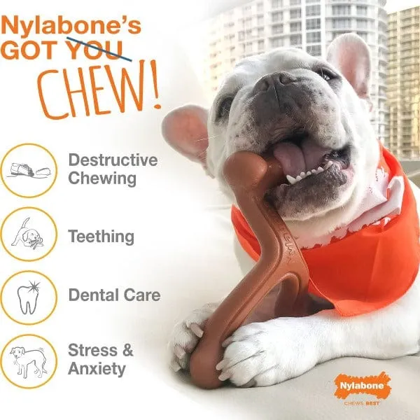 Nylabone Power Chew Bacon & Chicken Durable Dog Chew Toy Pack