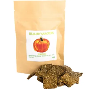 Small Pet Select Healthy Snackers Pumpkin Small Animal Treats 2oz