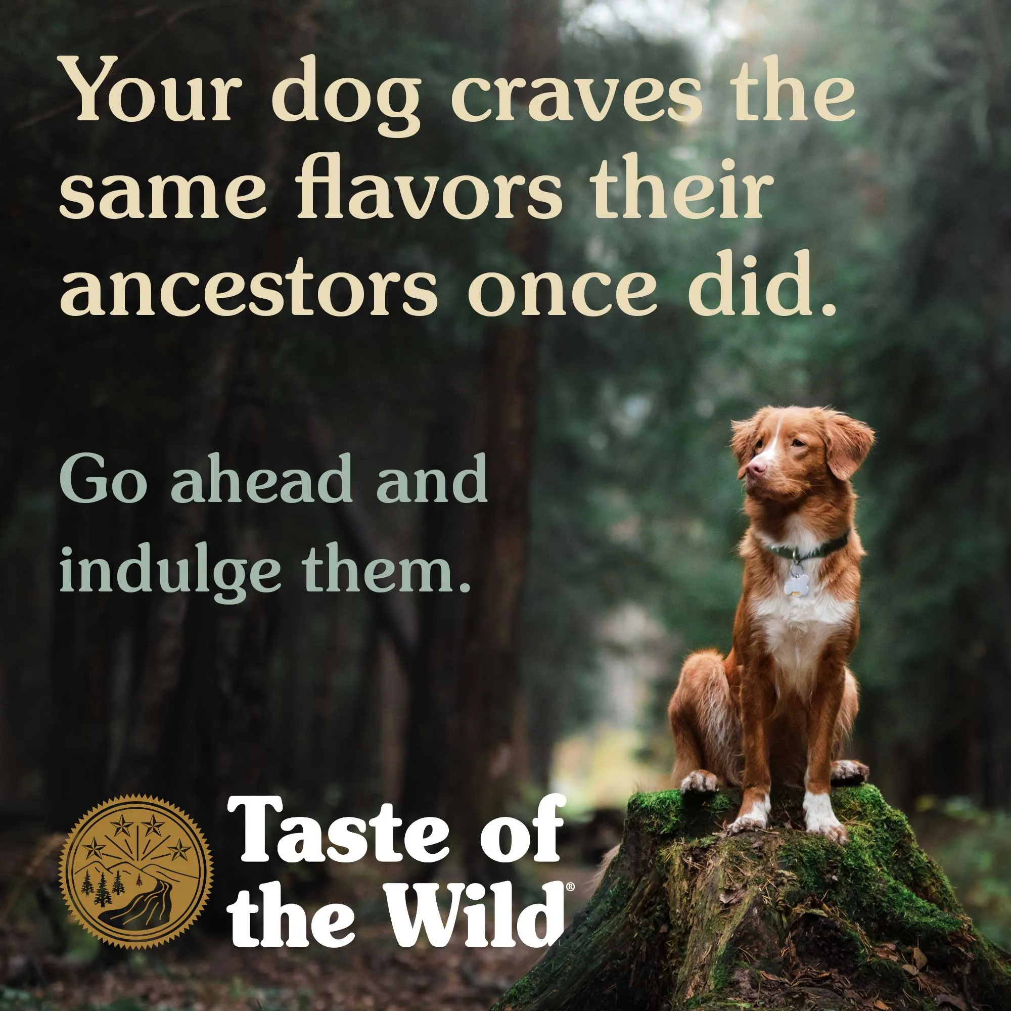 Taste Of The Wild Pacific Stream Grain-Free Dog Food