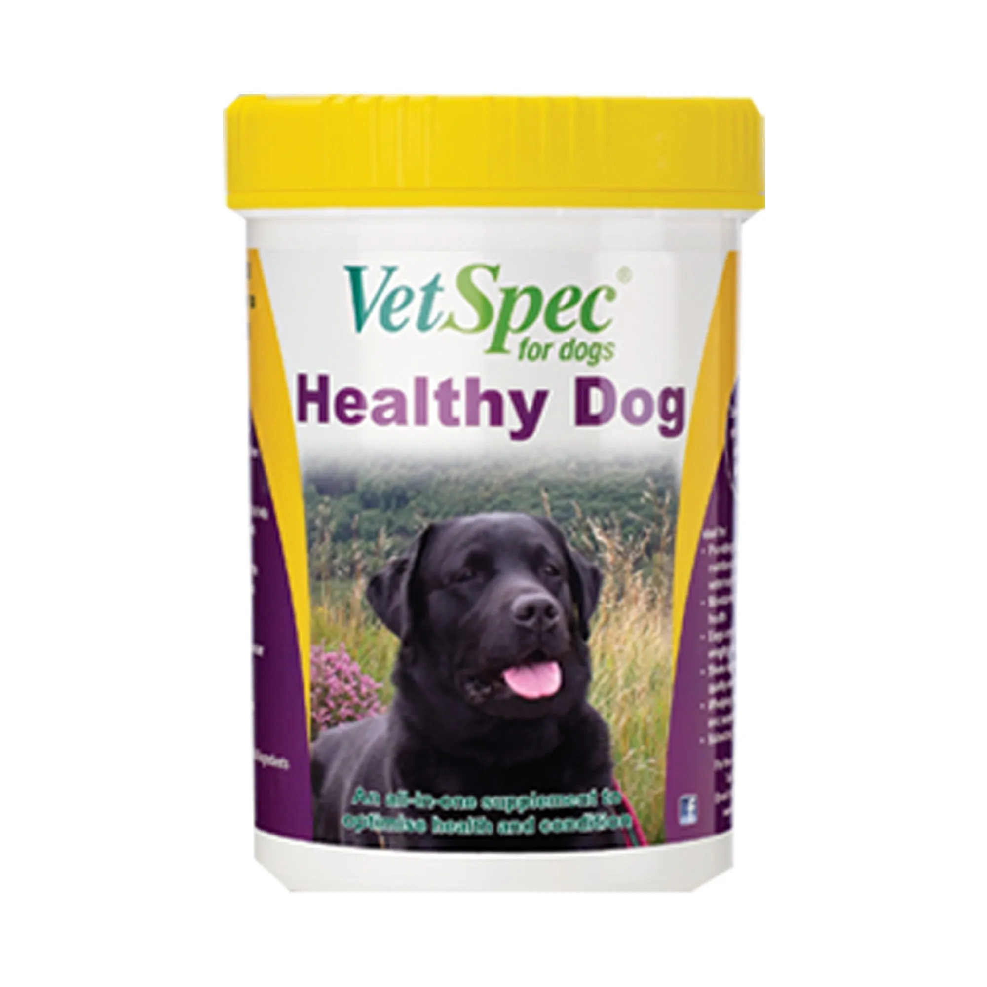 Vetspec Healthy Dog