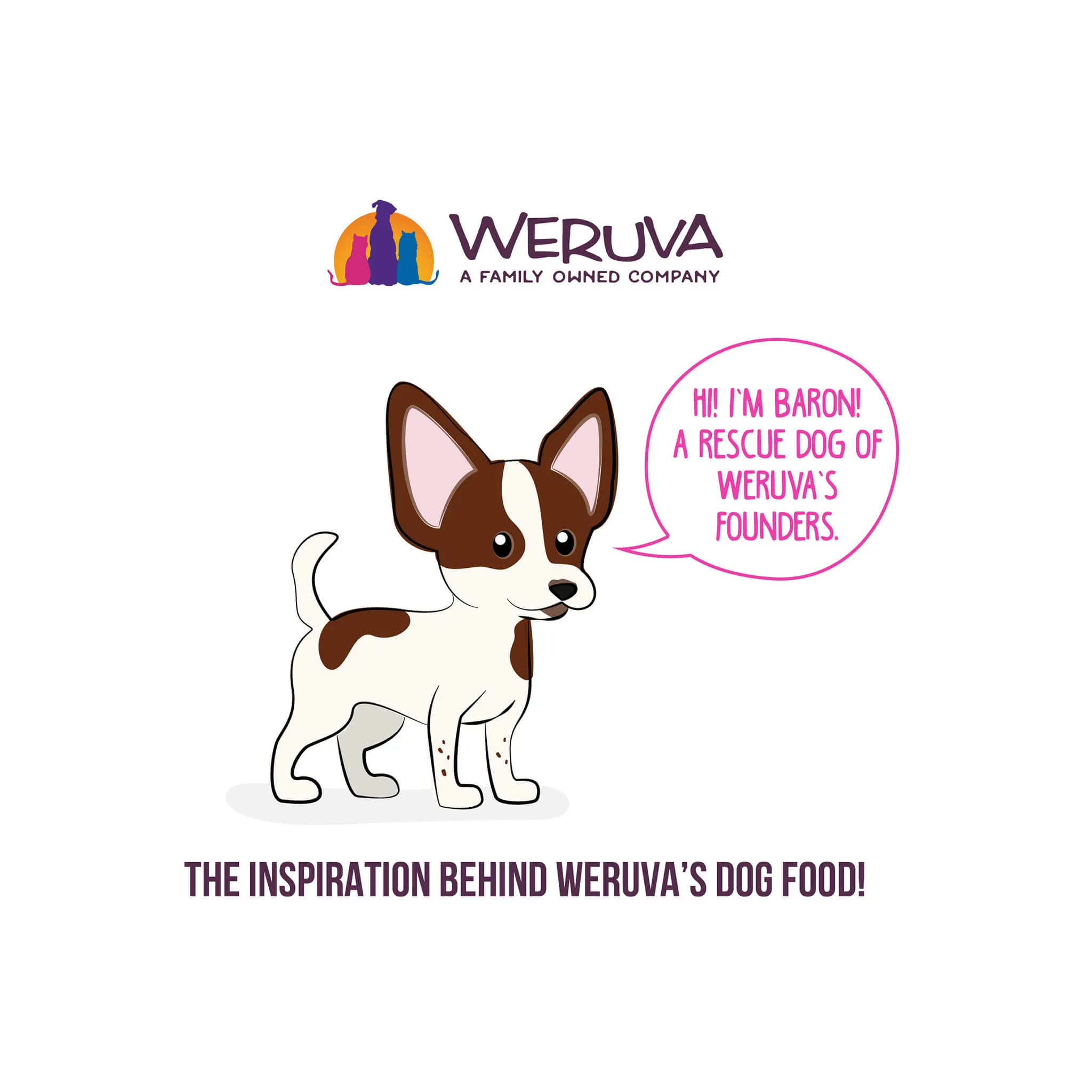 Weruva BFF Best Fido Friend Wet Dog Food